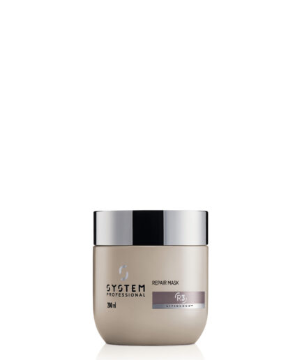 Masque Repair by System Professional