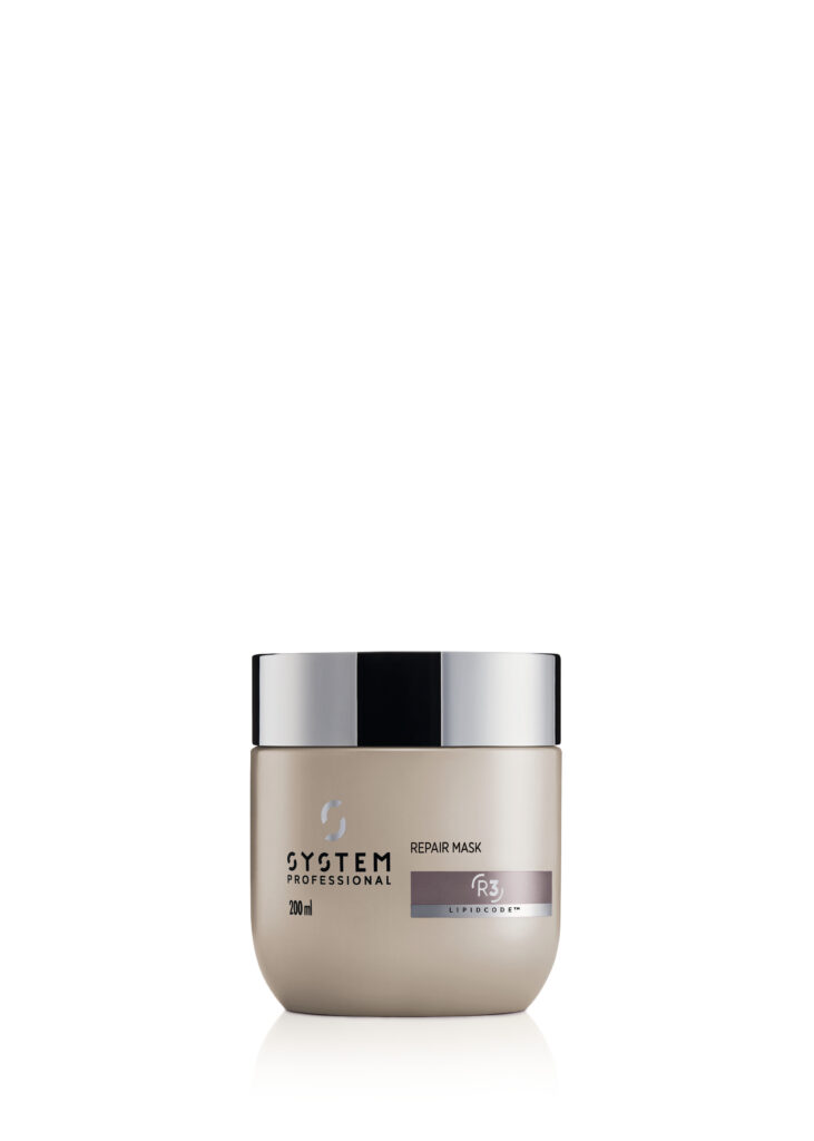Masque Repair by System Professional