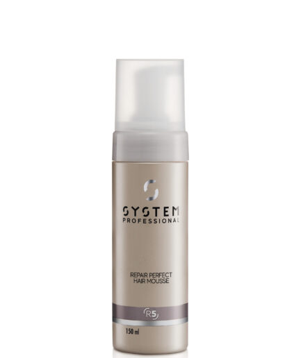 Repair Perfect Hair by System Professional