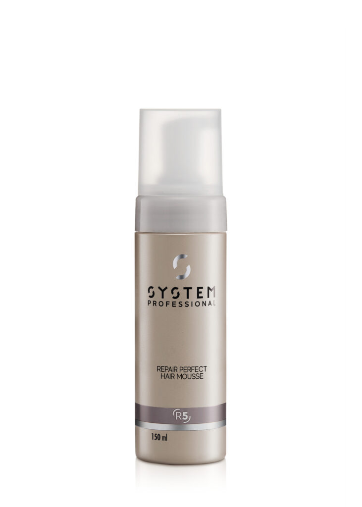 Repair Perfect Hair by System Professional